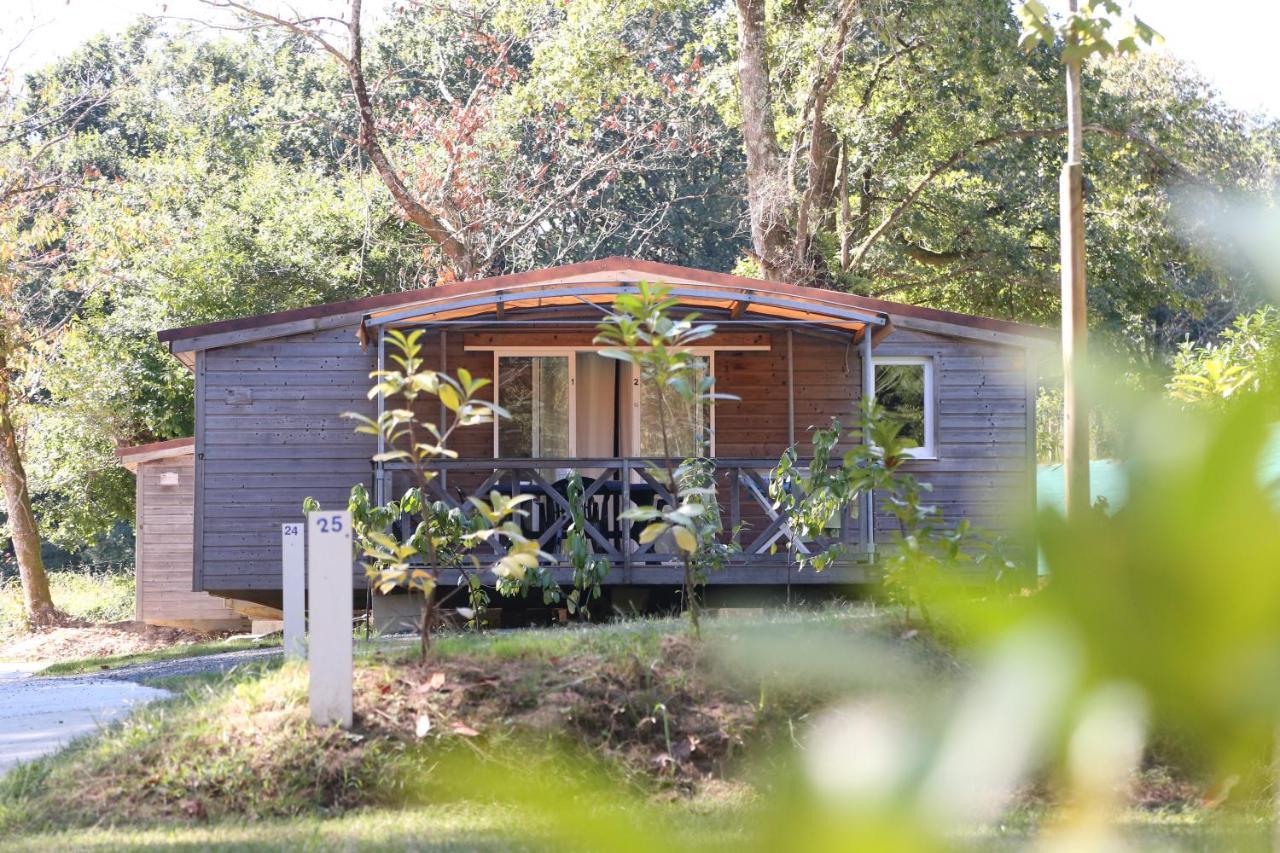 Camping Le Ruisseau Saint-André-de-Seignaux Exterior foto
